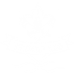 Troop 110 Jax logo